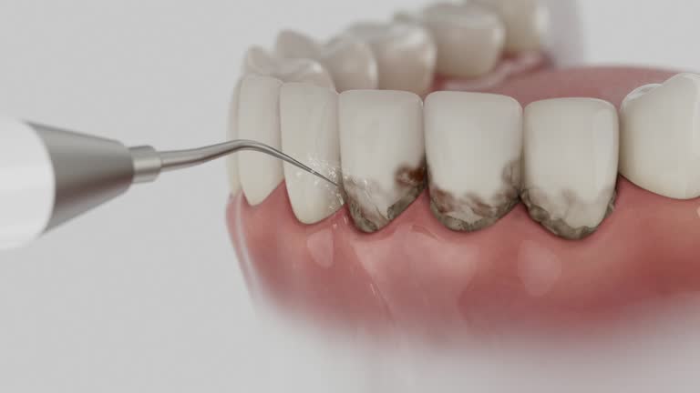 Reliable Dental contractor in Granger, IN by Dentist Open Now